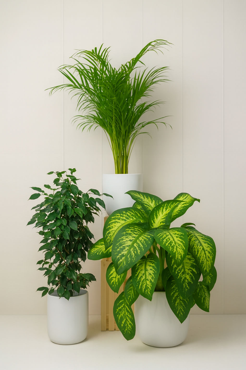 Home Decorator Bundle